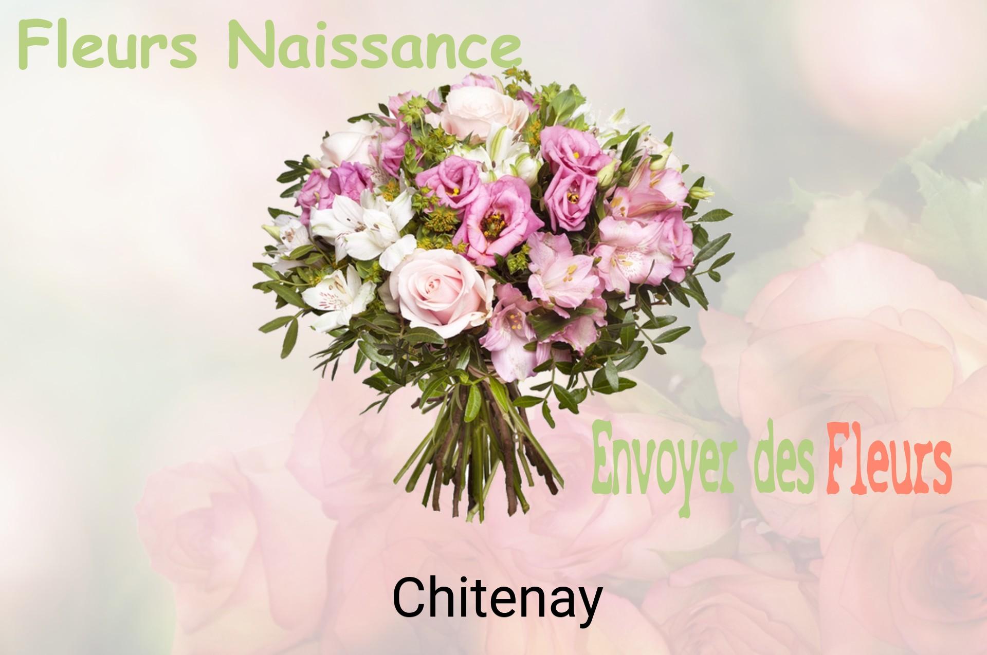 Bouquet de fleurs de naissance livré à Chitenay