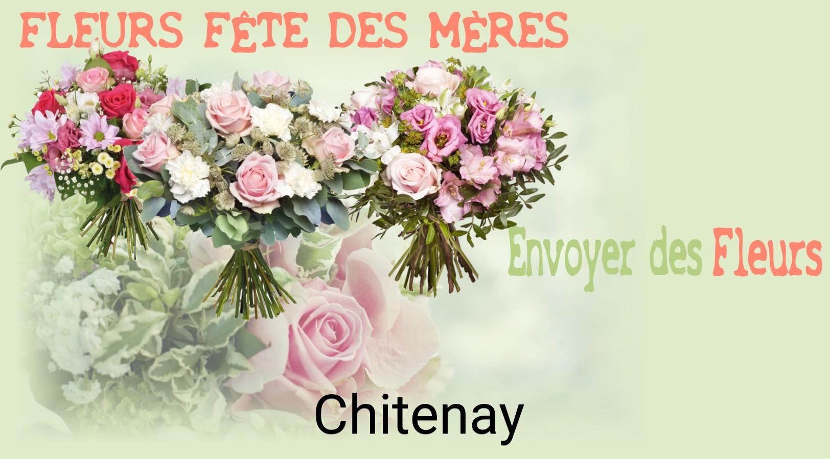 Bouquet de Fête des Mères livré à Chitenay